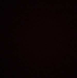 Meet your Posher, Lucas